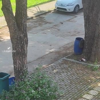 Osmangazi Belediyesi Bayram Temizliği Yapılsın Sokaklara
