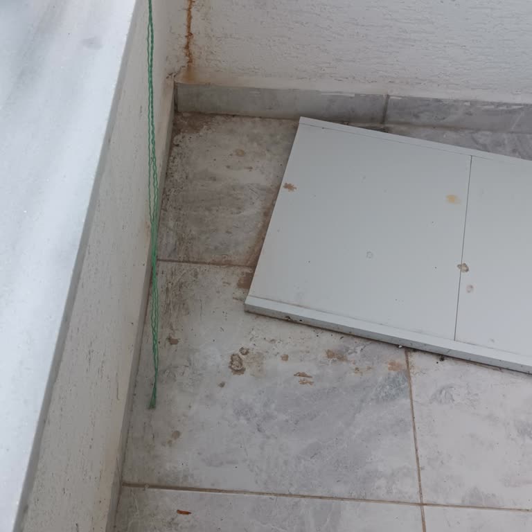 Görülmeden Ödenen Kiralama Ücreti Ve Kiralık Dairenin Kirli Olması