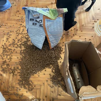 Tekrarlanan Paketleme Sorunu Nedeniyle Kırılan Köpek Maması Ve Şampuan