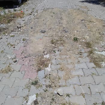 Alibey Adası Yol Taşları Eksikliği 8 Ay Boyunca Güvenlik Tehdidi