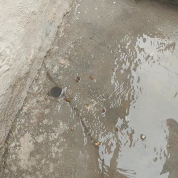 İZSU’nun Rögar Taşması Müdahalesizliği Mahallede Sağlık Krizine Yol Açıyor