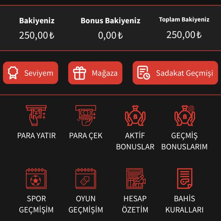 Güven Sorunu Ve Oyun Oynayamama Nedeniyle 250 TL İadesi Talebi