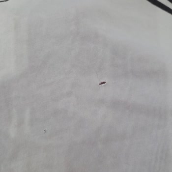 Tişörtlerimiz Çamaşır Makinesiyle Delindi, Servis Yanıltıyor, Ücret İadesi İstiyoruz