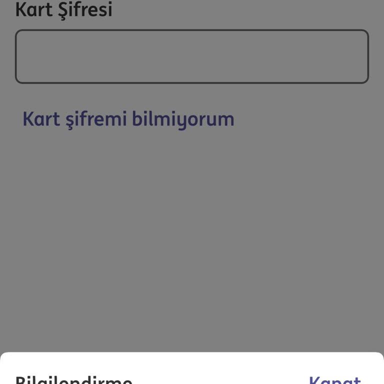 ING Bank Şifre Değişikliği Sonrası Mobil Bankacılık Girişi Engellendi Ve Ödeme Yapamıyorum