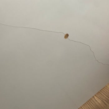 Eksik Ve Hasarlı Yatak Tesliminde İade Reddi