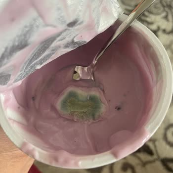 Küflü Yoğurt Bebeğime Verildi: Sağlık Riski Ve İade İsteği