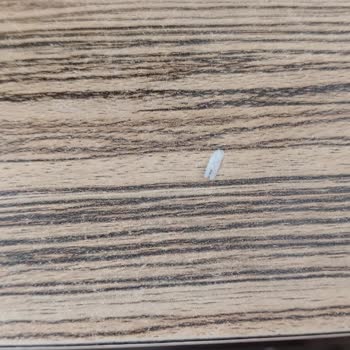 Paketli Dönerde Sert Yabancı Parça Diş Kırma Tehlikesi