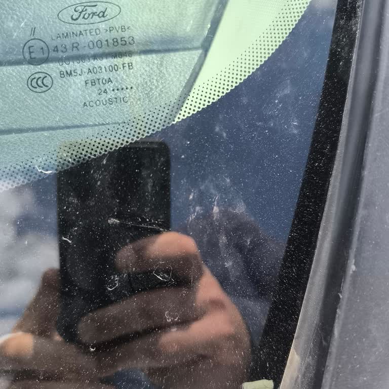 Ford Şikayeti