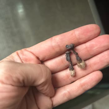 Samsung Ankastre Fırında Fan Kapağı Düşmesi Ve Aşırı Paslanma Üzerine Tam Değişim Talebi