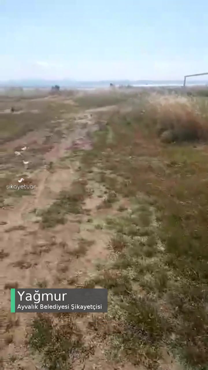 Ayvalık Belediyesi Parkımızı Lütfen Onarın videonun kapak resmi