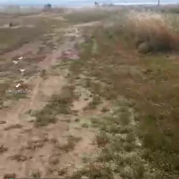 Ayvalık Belediyesi Parkımızı Lütfen Onarın