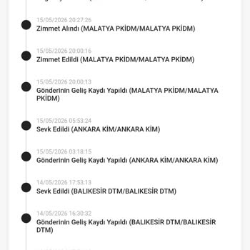 PTT Kargo Yanlış Teslimat Ve Uzun Bekleme Süresi Nedeniyle Porselen Tabağın Hasar Riski