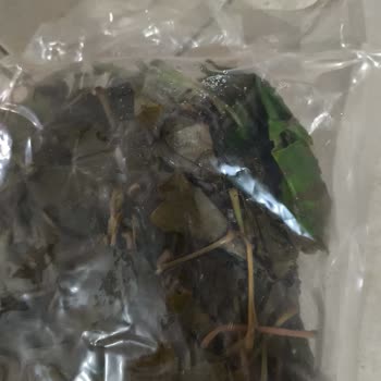 Ege'nin Bereketi Markasından Vakumsuz Ve Haşereli Asma Yaprağı, İletişimsiz Müşteri Hizmetleri