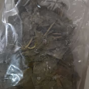Ege'nin Bereketi Markasından Vakumsuz Ve Haşereli Asma Yaprağı, İletişimsiz Müşteri Hizmetleri