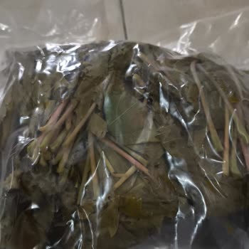 Ege'nin Bereketi Markasından Vakumsuz Ve Haşereli Asma Yaprağı, İletişimsiz Müşteri Hizmetleri