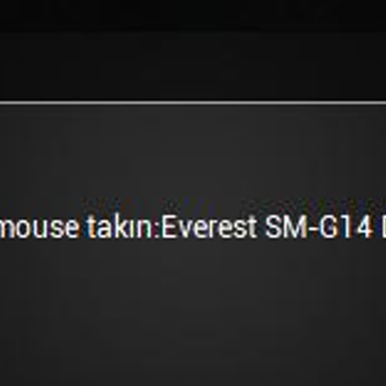 Everest SM-G14 Mouse Yazılımı Fareyi Tanımıyor