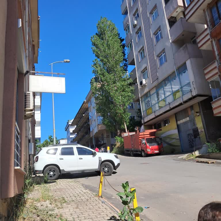 İpek Sokak'taki Ağaç Nedeniyle Alerji Şikayeti Ve Kesilme Talebi