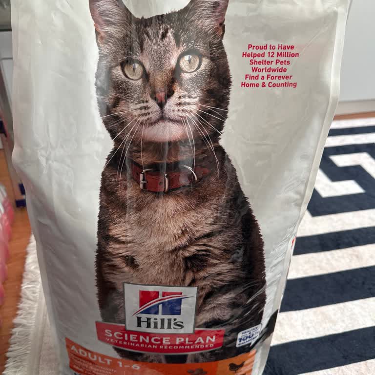 Son Kullanma Tarihi Geçmiş Kedi Maması Ve Amazon'dan Geri Dönüş Yok