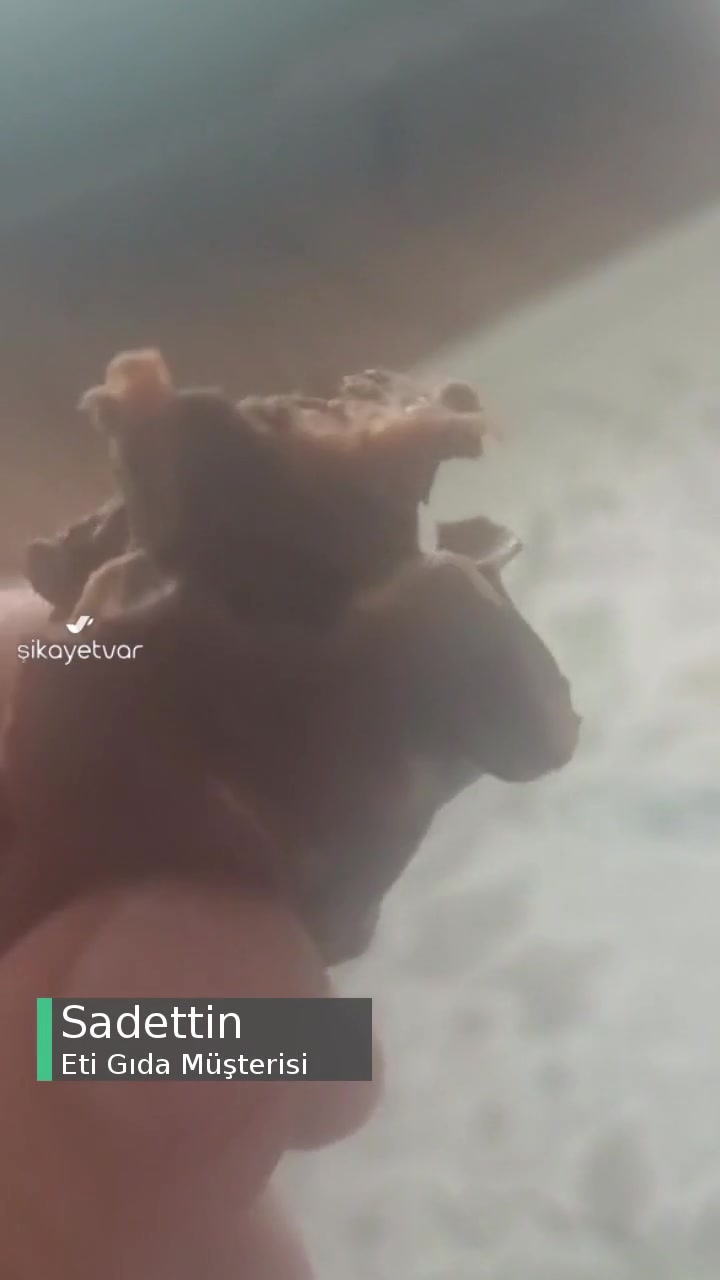 Ei Canga İçinde Kıl Var! videonun kapak resmi