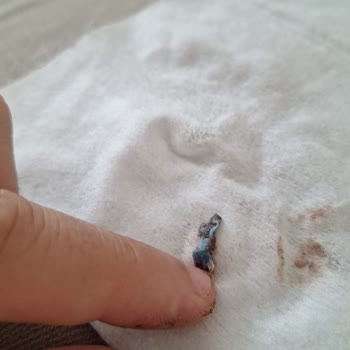 Torku Kakaolu Bisküviden Kağıt Benzeri Yabancı Madde Çıktı, Gıda Güvenliği Endişesi