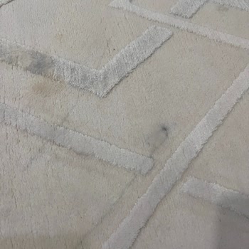 Halılar Yıkanmış Gibi Görünüyor Ama Leke Kaldı