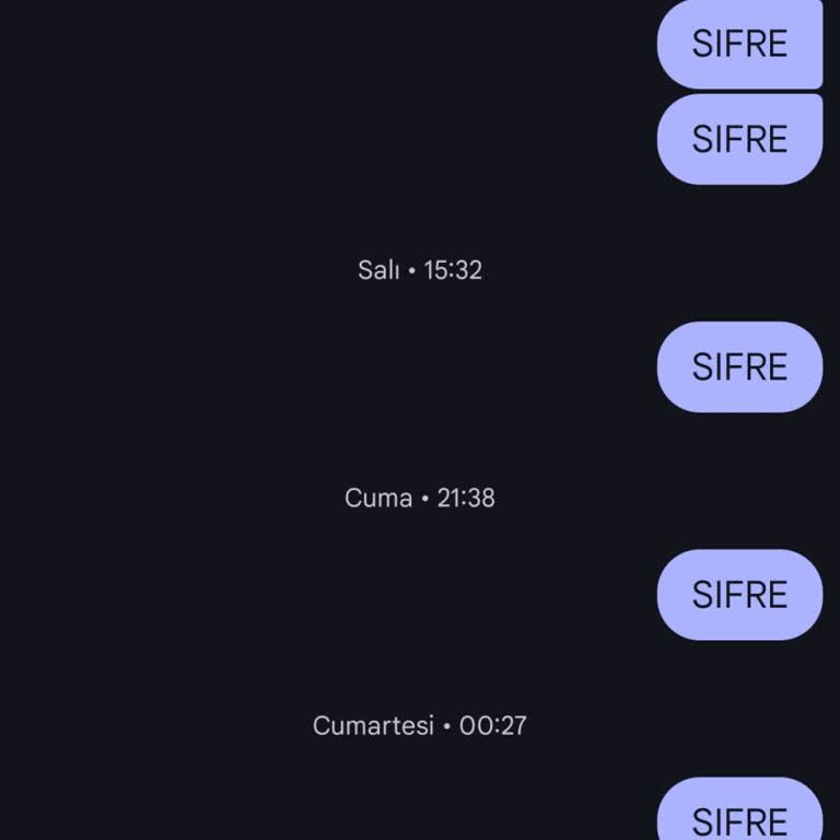 Şifre SMS'i Gelmediği İçin Online İşlemlere Giriş Engellendi Ve Faturam Ödeyemiyorum