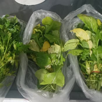 Aydın Migros Kipa Şubesinden Sararmış Ve Ezilmiş Yeşillik Teslimatı
