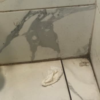 Taksim Eğitim Araştırma Hastanesi Ciddi Bir Hijyen Problemiyle Karşılaştım