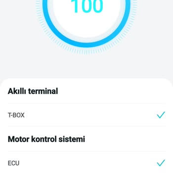 T-Box Bağlantı Sorunu Uygulama Veri Akışı Kesildi
