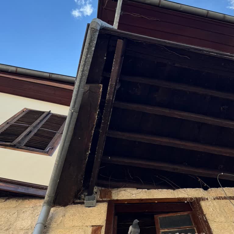 Dördüncü Elbisenin Gönderilmemesi Ve Geciken Ücret İadesi