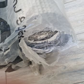 Hasarlı Halı Teslimatı: İade Ve Ücret İadesi Talebi
