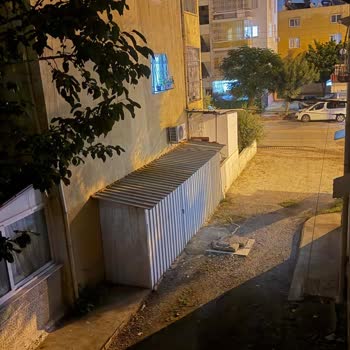 Mahallede Sürekli Sivrisinek İstilası Ve İlaclama Eksikliği