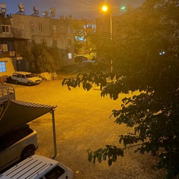 Mahallede Sürekli Sivrisinek İstilası Ve İlaclama Eksikliği