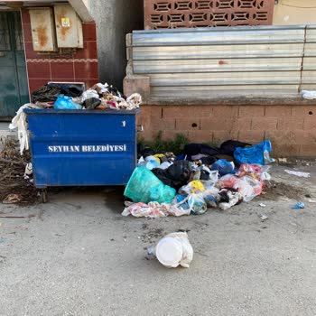 Hadırlı Mahallesinde Çöp Toplanmaması Ve Belediye İhmali