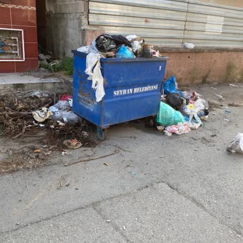 Hadırlı Mahallesinde Çöp Toplanmaması Ve Belediye İhmali