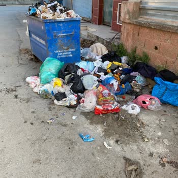 Hadırlı Mahallesinde Çöp Toplanmaması Ve Belediye İhmali