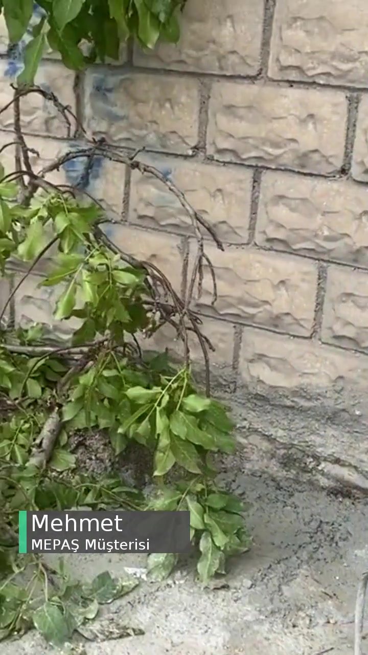 MEPAŞ Rezillik Resmen Yapılan videonun kapak resmi