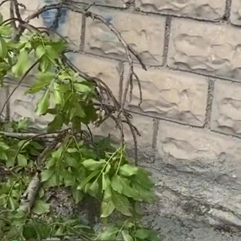 MEPAŞ Rezillik Resmen Yapılan