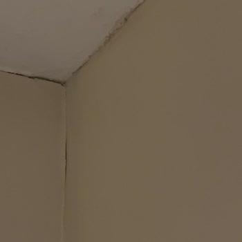Radisson Blu Ankara Suit Odasındaki Sızıntı Ve Yanıp Sönen Lambalar Müşteri Hayal Kırıklığı Yaşadı