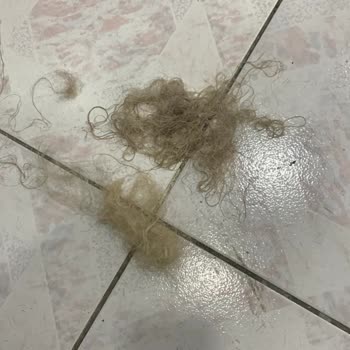 10 Bin Liralık Saç Açma İşleminde Liquid Keratin Oil Plex Kullanımı Sonrası Yanık Ve Kırılma
