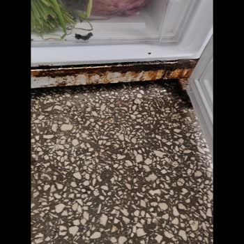 Regal Buzdolabımda Hızlı Paslanma Ve Tam Değişim Talebi