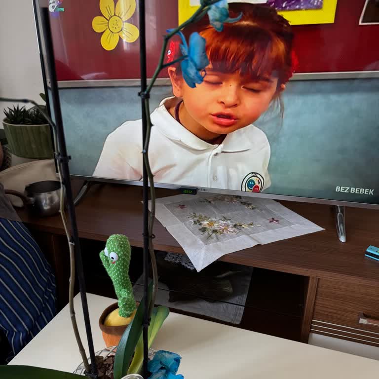 Hızlı Çiçek'ten Aldığım Orkide Hızla Çürüdü Ve Değişim Talebi