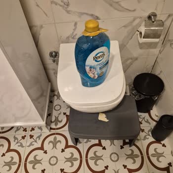 Kanalizasyondan Çıkan Hamam Böcekleri Ve Fareler Tuvaleti Kullanılamaz Hale Getirdi