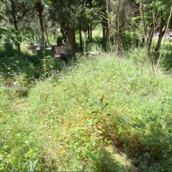 Bursa Büyükşehir Belediyesi Mezarlık Otları Temizliği