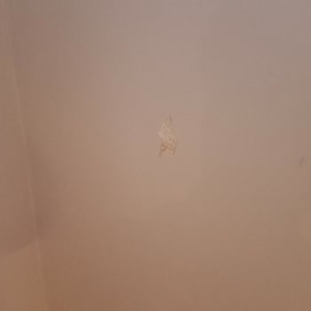 Teslimat Gecikmesi, Eksik Ve Hasarlı Ürünler Nedeniyle Maddi Ve Manevi Mağduriyet
