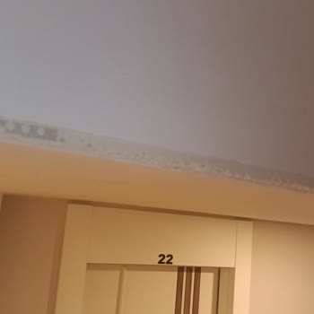Teslimat Gecikmesi, Eksik Ve Hasarlı Ürünler Nedeniyle Maddi Ve Manevi Mağduriyet
