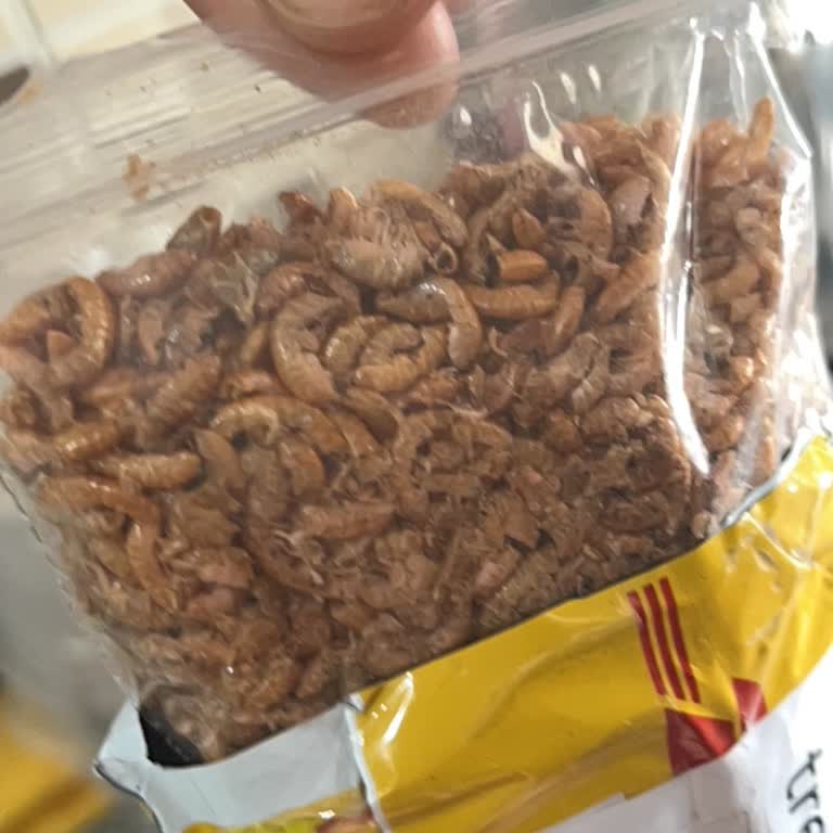 DHL’nin Kurtçuklu Yanlış Teslimatı