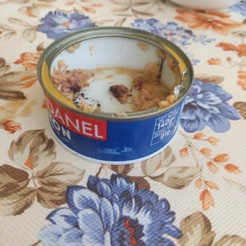 Dardanel Ton Balığında Siyah Yabancı Madde Çıktı; Sağlık Ve Hijyen Endişesi Oluştu
