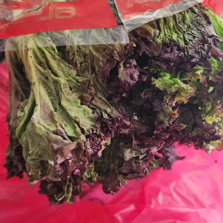 Yemeksepeti Market'te Çürük Ürün Gönderimi Ve Çözüm İhmaline Şikayet