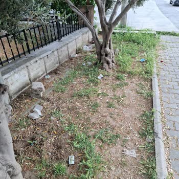 Çiğli Belediyesi Çöpçü Grevi Ve Arızalı Asansörler